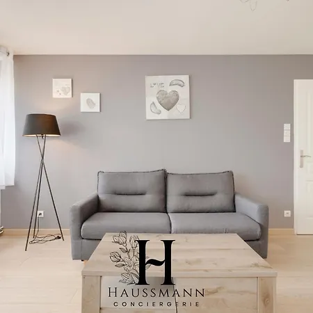 Apartment Centre Gare Climatise Nancy