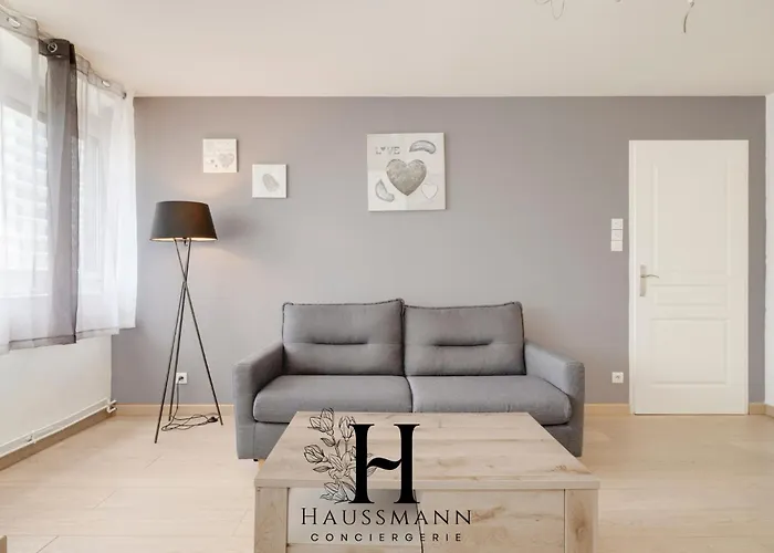 公寓 Centre Gare Climatise 南锡