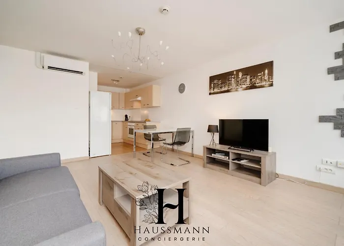 Appartement Centre Gare Climatise *